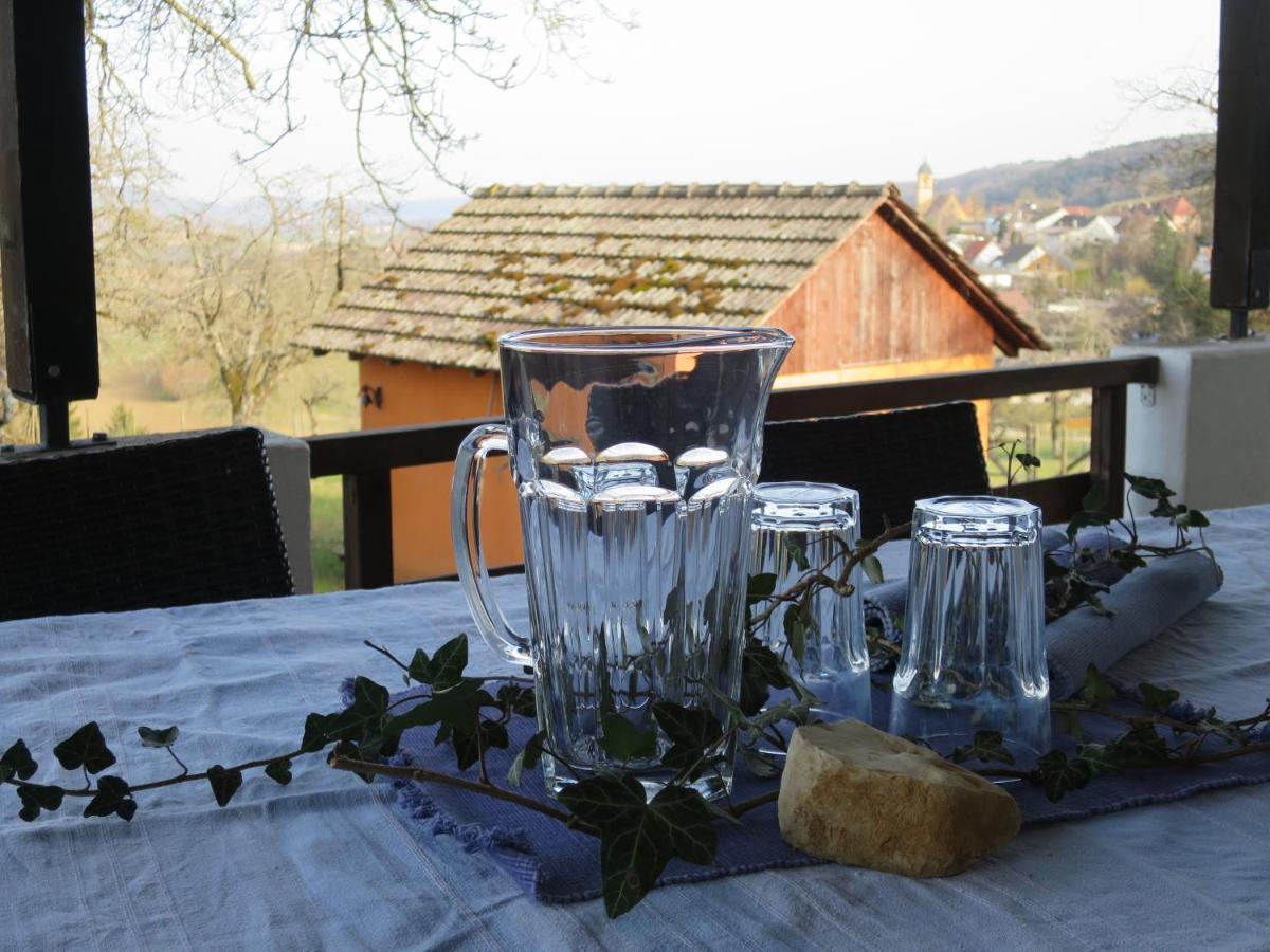 Apartment Alpaka-ferien Wiechs am Randen