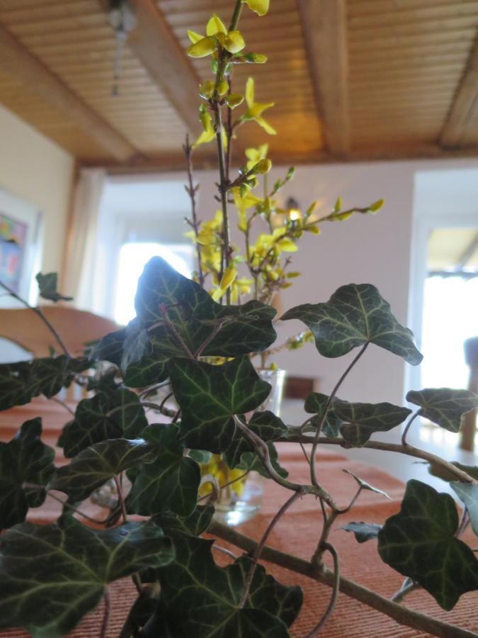 Apartment Alpaka-ferien Wiechs am Randen